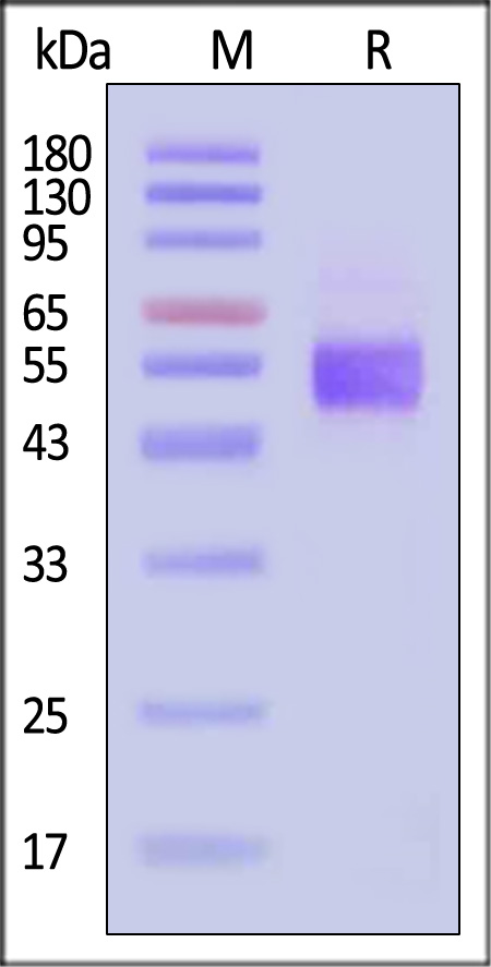 BTA-H82F8-sds