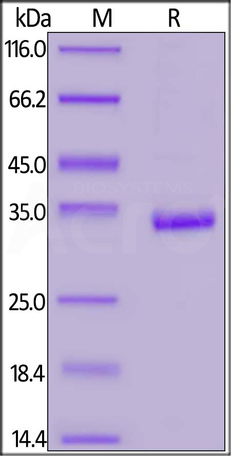 CA9-H5220-sds