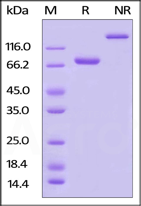 CD2-H82F8-sds