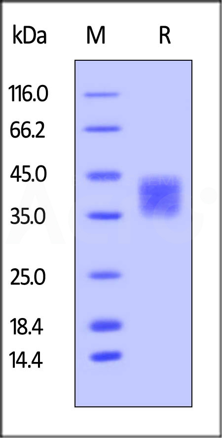 CD7-H522a-sds