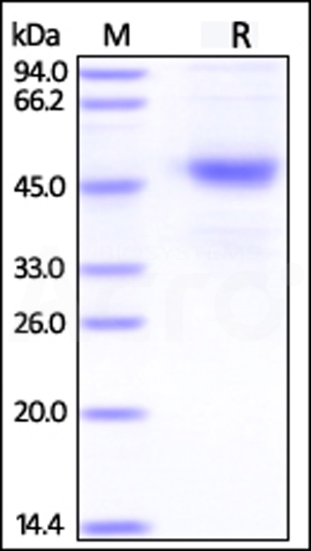 CD7-H526x-sds