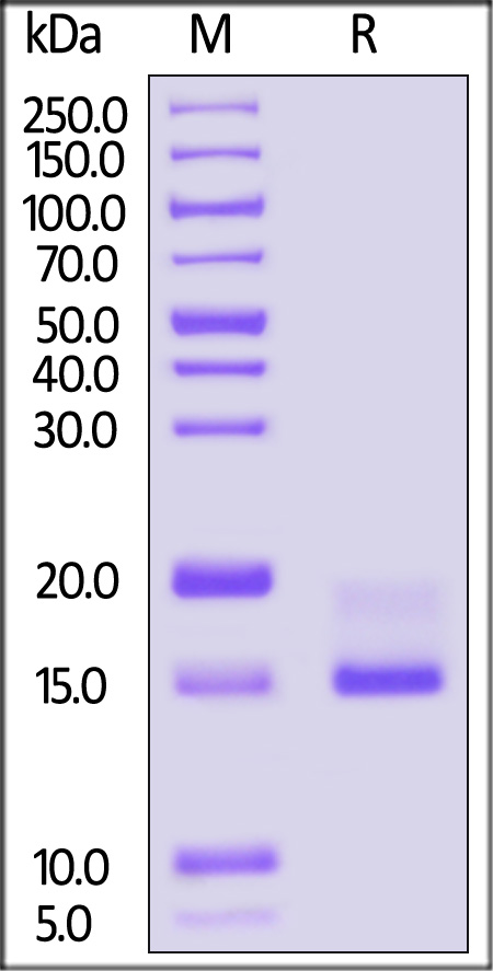 CD9-H82Ea-sds