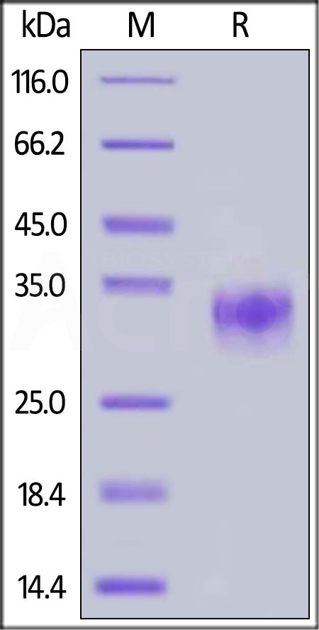 CDA-C52H7-sds