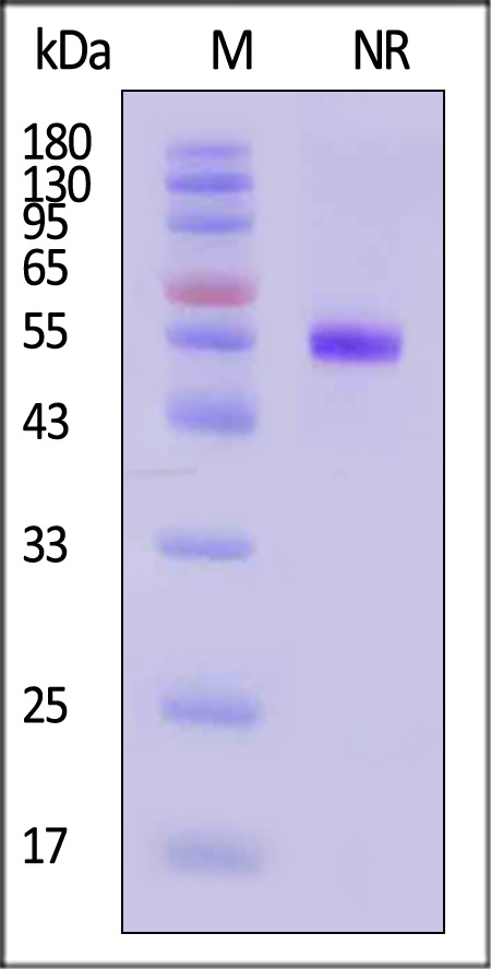 CDL-H82D7-sds