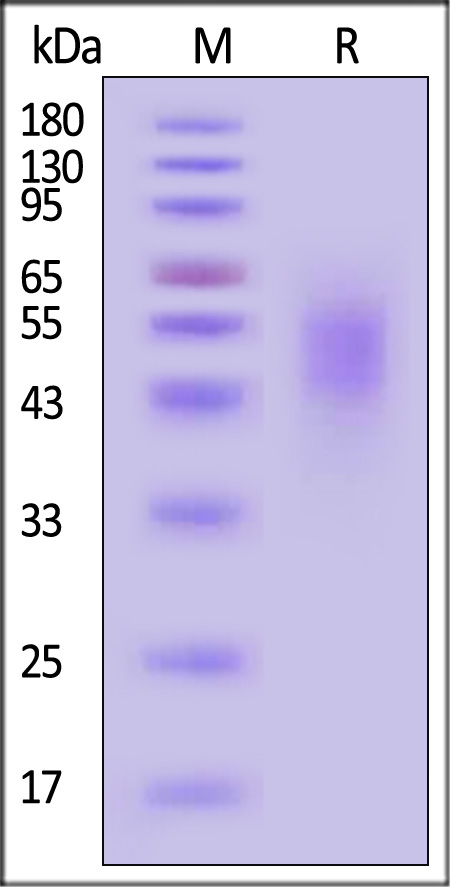 CE5-H82E3-sds