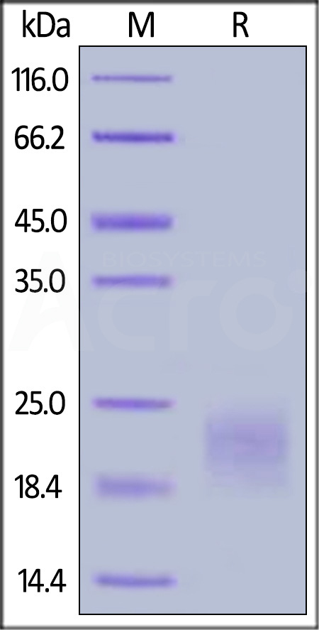 CT4-C5227-sds