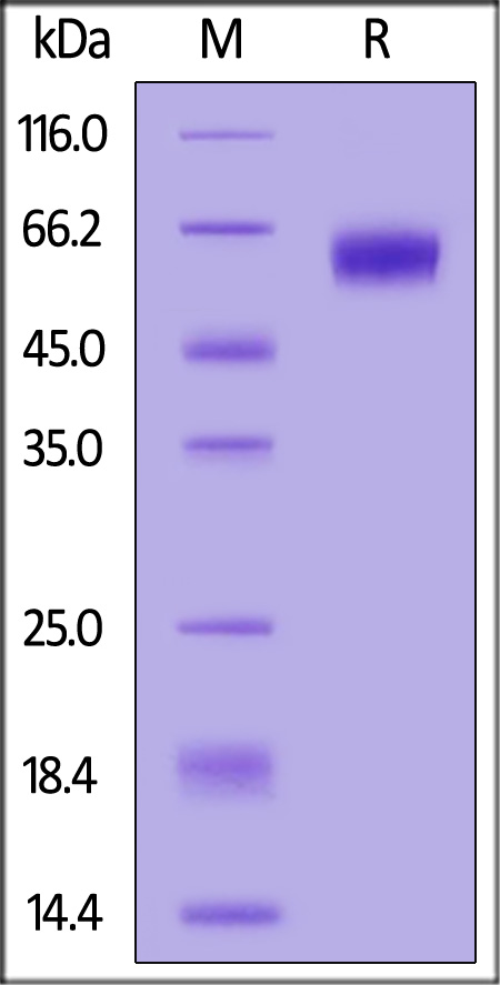 DD1-H82E9-sds