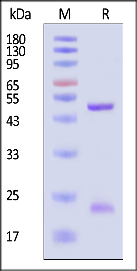 DE1-M755-sds