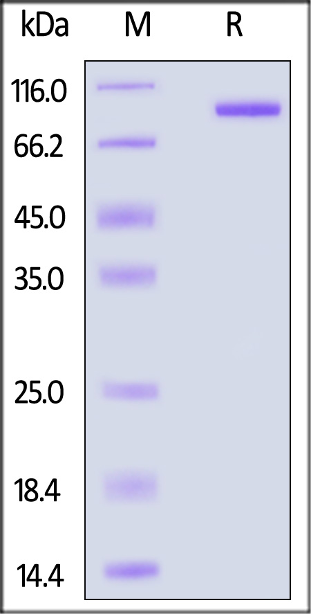 ED3-H5259-sds