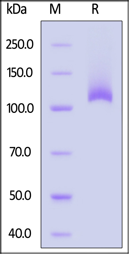 EL1-H82E9-sds