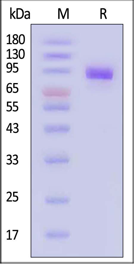 ER3-H5223-sds