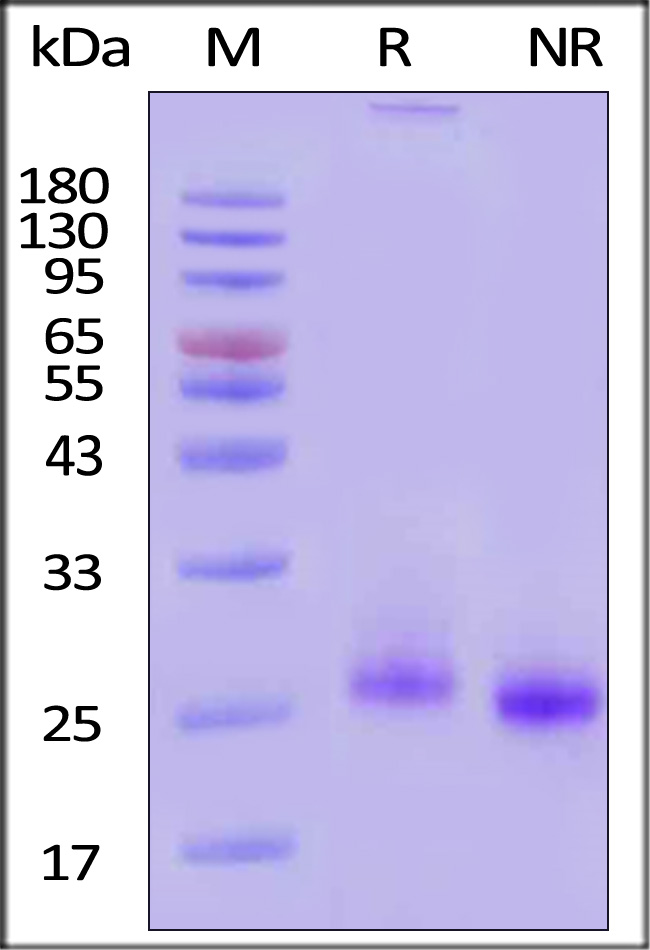 FG7-H5213-sds