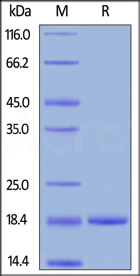 GCF-H5214-sds