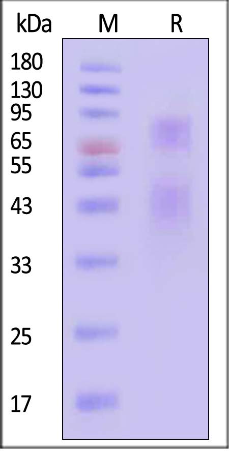 GIE-V5283-sds