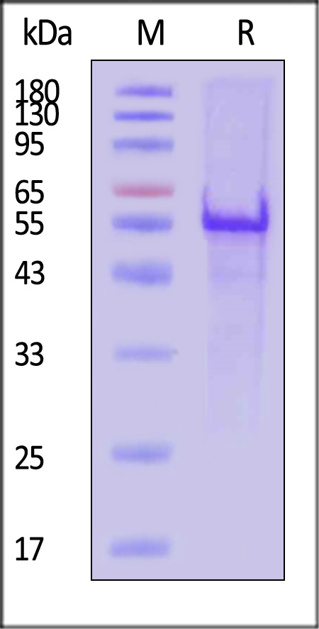 GPT-H51H3-sds