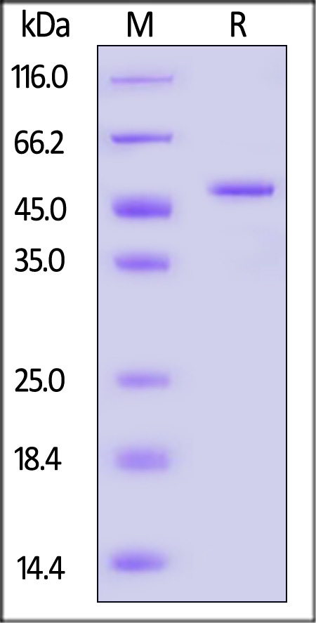 GSB-H5545-sds