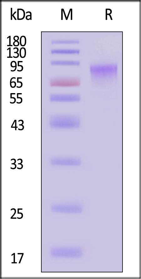 GUC-C82E9-sds