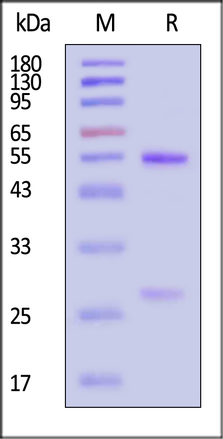 HA1-M757-sds