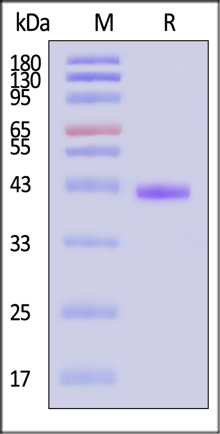 HL2-H82Es-sds