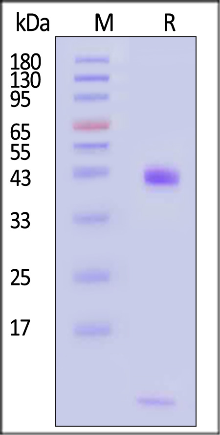 HL7-H82E6-sds