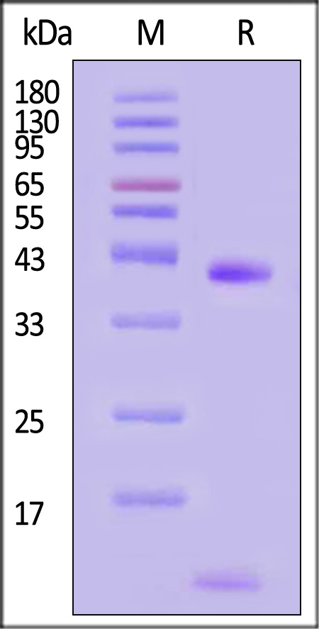 HLB-H82E3-sds