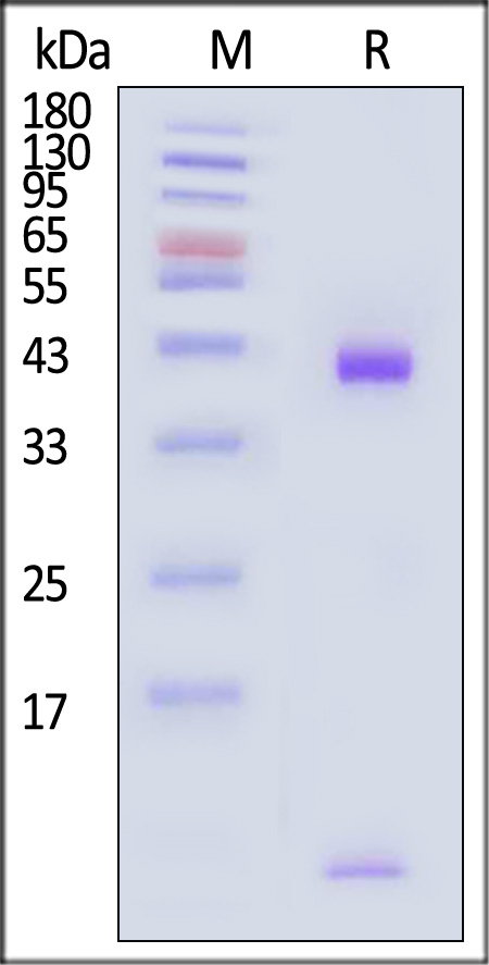 HLC-H82E7-sds