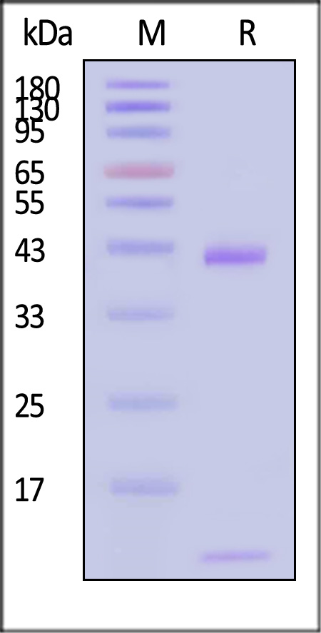 HLC-H82E8-sds