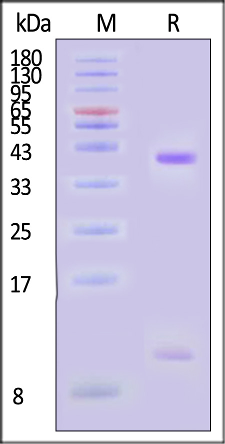 HLM-H52H5-sds