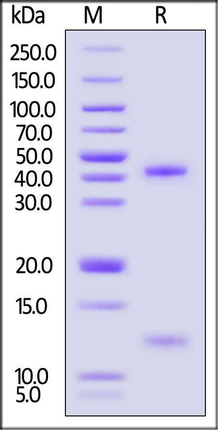 HLM-H52H6-sds