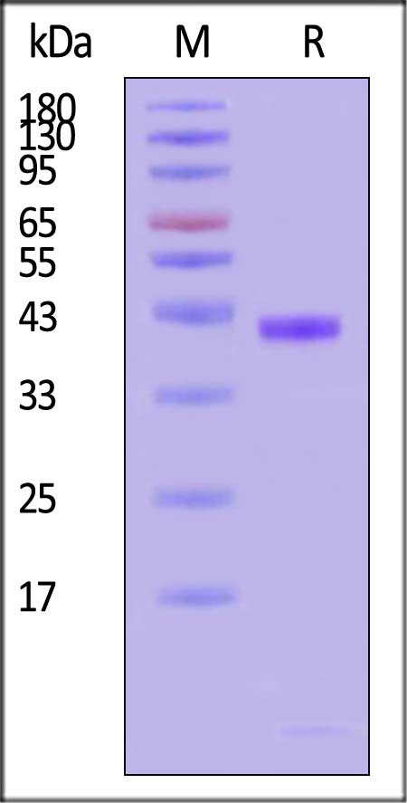 HLM-H82W3-sds