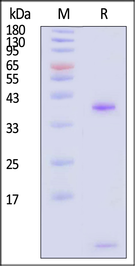 HLM-H82W4-sds