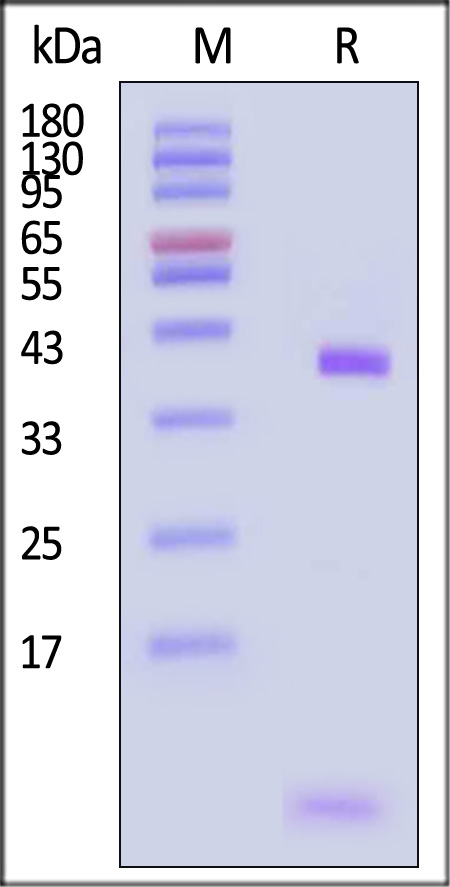 HLR-H82E9-sds