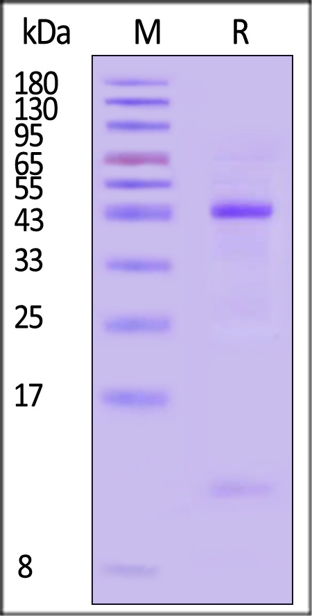 HLS-H82E2-sds