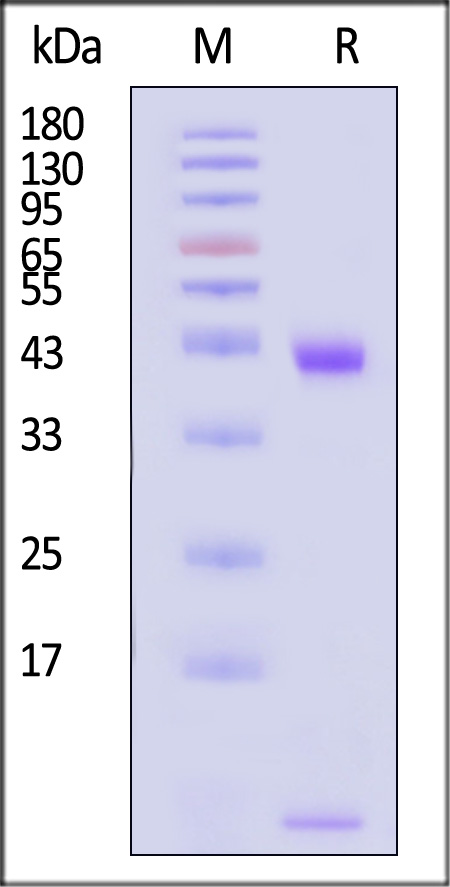 HLS-H82E6-sds