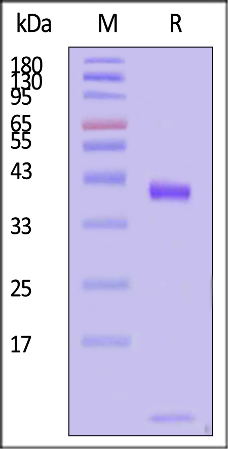 HLS-H82E8-sds