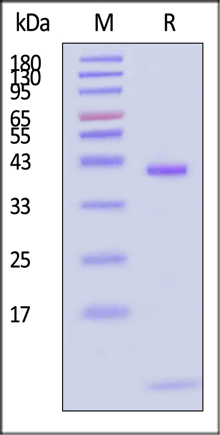 HLW-HA2H5-sds