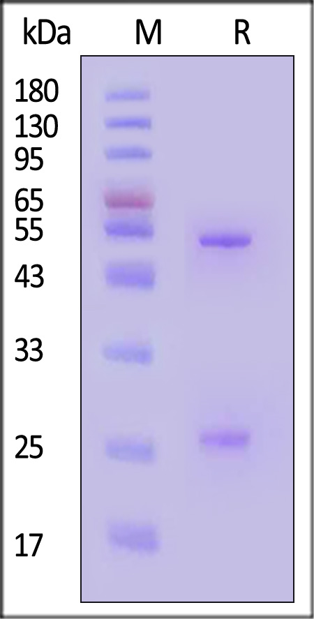 HRF-S367-sds