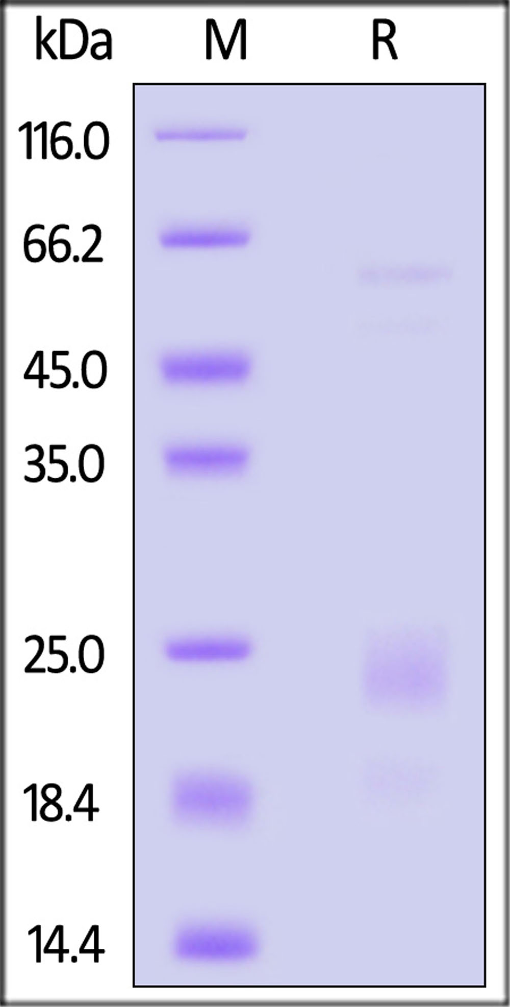 ICS-R52H9-sds