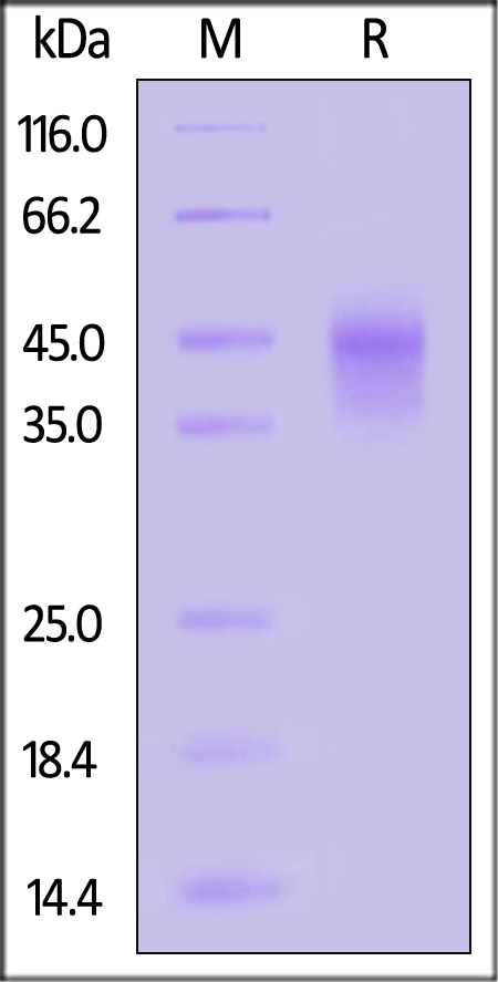 ILA-H82E6-sds