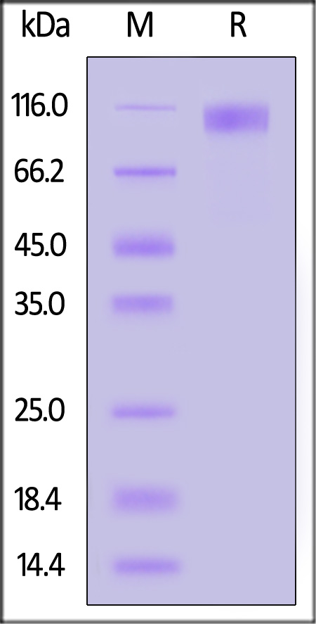 ILC-H82F9-sds