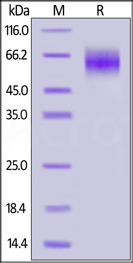 ILR-H52H4-sds