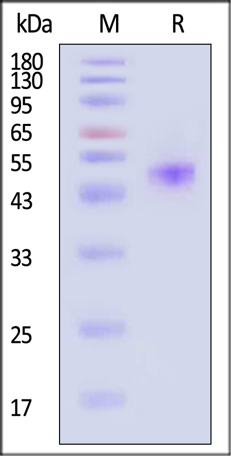 ILR-H52H5-sds