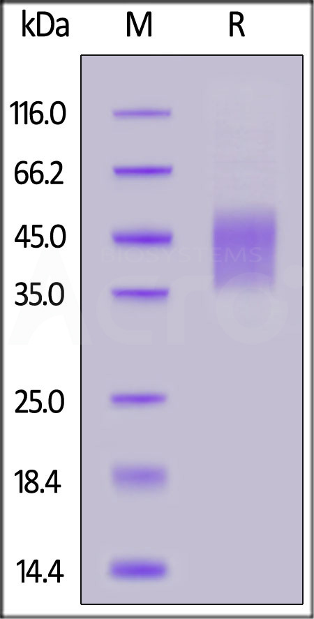 ILR-H82E9-sds