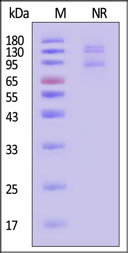 IT7-M53W3-sds