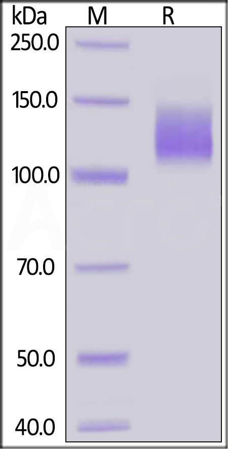 KDR-H5227-sds