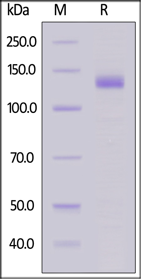 KLB-M52H7-sds