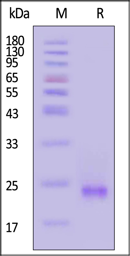 KRS-H51H3-sds