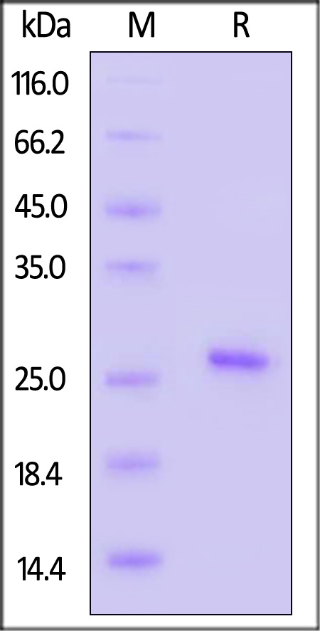 KRS-H51H7-sds