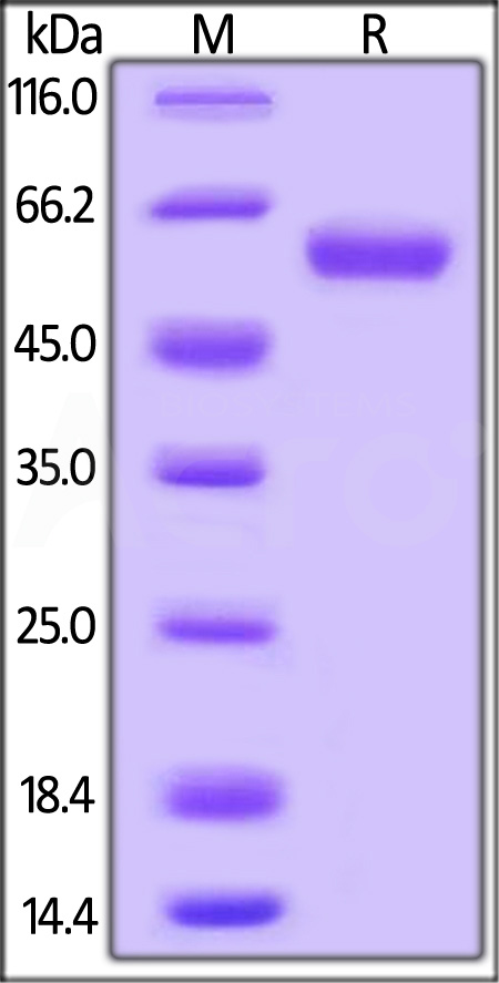 LA1-C52A3-sds