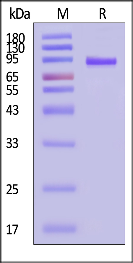 LA3-C52A0-sds